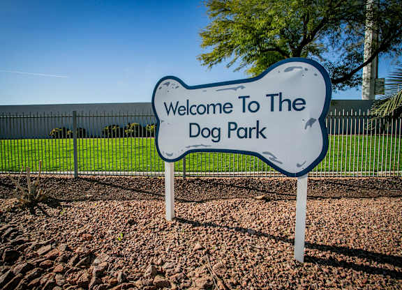 Dog Park at Octave Apartments, Nevada