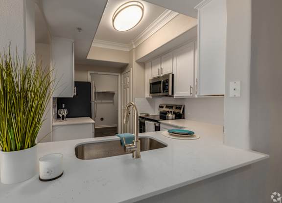 A modern kitchen with a sink and a plant.
