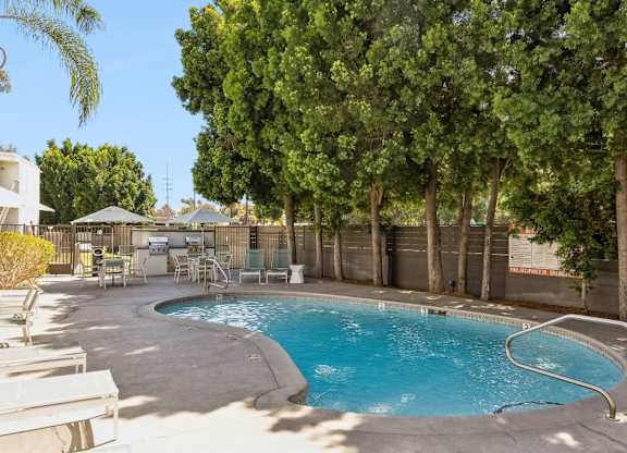 A small pool surrounded by trees and a fence.
