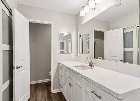A bathroom with a white sink and a large mirror.