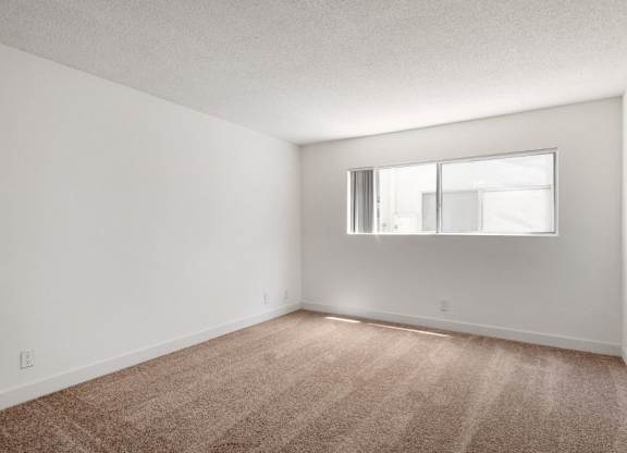 A room with a carpeted floor and a window.