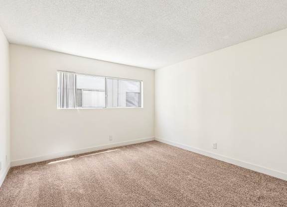 A room with a carpeted floor and a window.