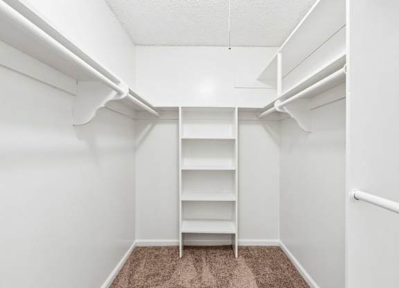 A white closet with a carpeted floor and a ladder.
