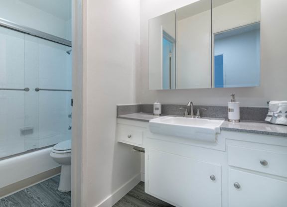 Bathroom view with tub shower and vanity