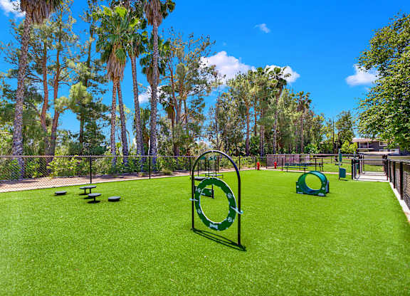 a park with agility equipment on the grass at Monterra Ridge Apartments, Canyon Country