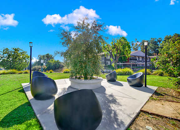 a seating area with a tree in a park at Monterra Ridge Apartments, Canyon Country, California