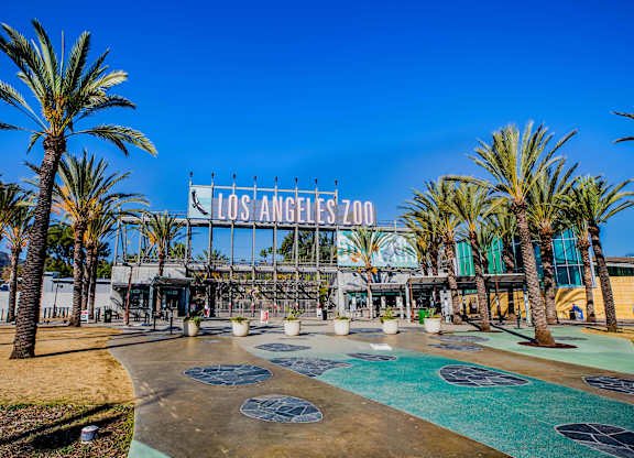LA Zoo picture
