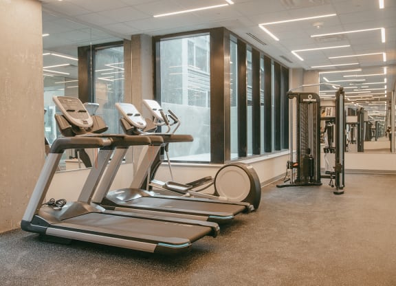 Loop Amenities