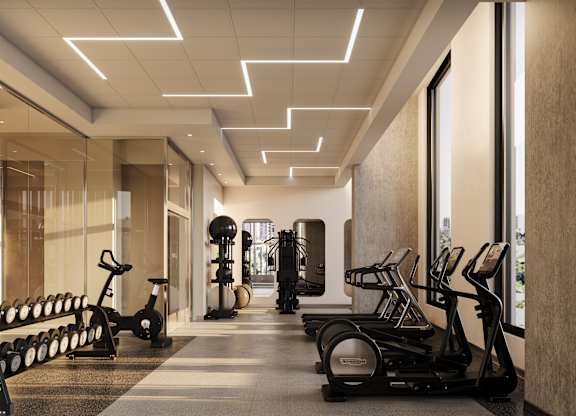 A gym with treadmills, elliptical machines, and dumbbells.