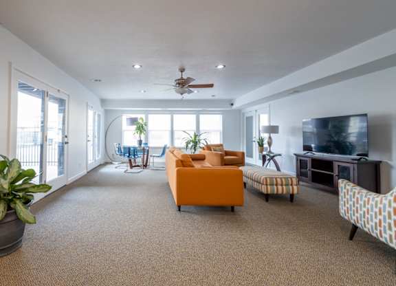 A living room with a television, a couch, and a potted plant.