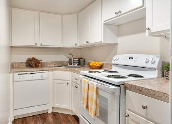 Efficient kitchen layout with generous storage and convenient access to the dining area.