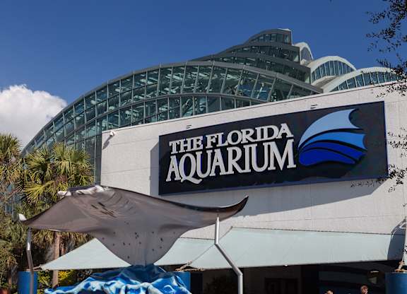 The Florida Aquarium is one of many attractions just steps from our community.