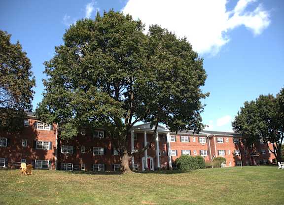 a large tree in front of a brick building