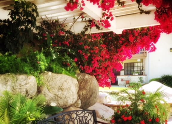 a bench on a patio with flowers and plants at Victoria Springs, Riverside, 92504