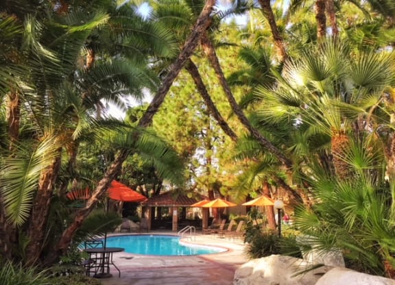 a resort pool with palm trees and umbrellas at Victoria Springs, Riverside