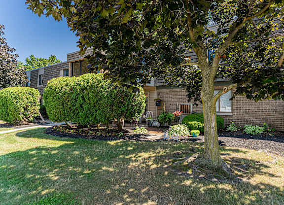 A tree in a yard in front of a house.