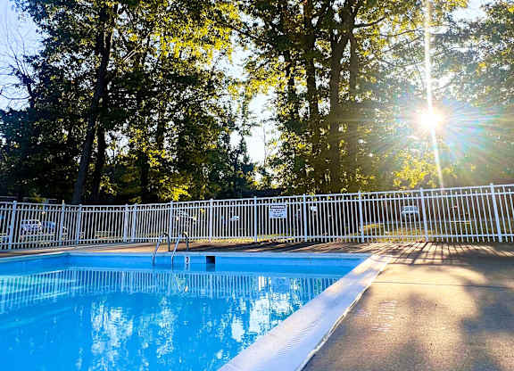 A pool surrounded by trees with the sun shining through the branches.