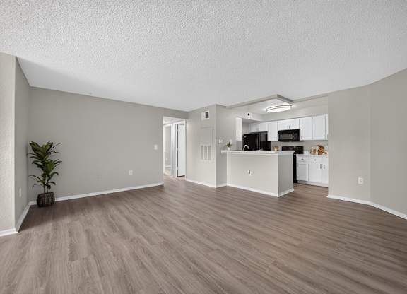 A room with a kitchen area and a plant.