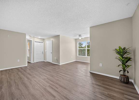 A room with a plant on the right side.