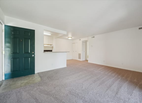 Living Area with Carpet