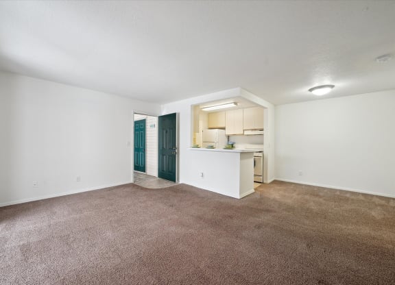 Living Room with Carpet
