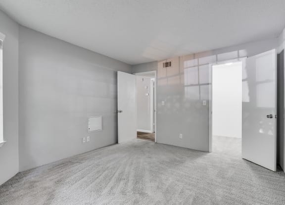 Carpeted Bedroom With Walk-In Closet
