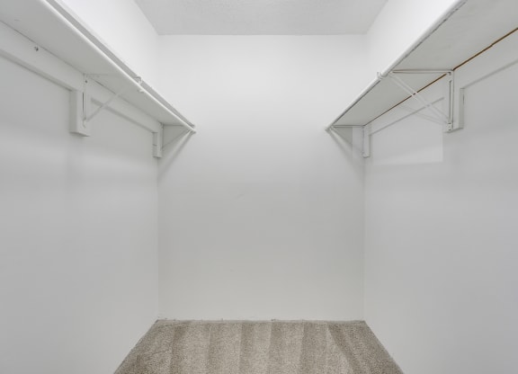 Carpeted Walk-In Closet