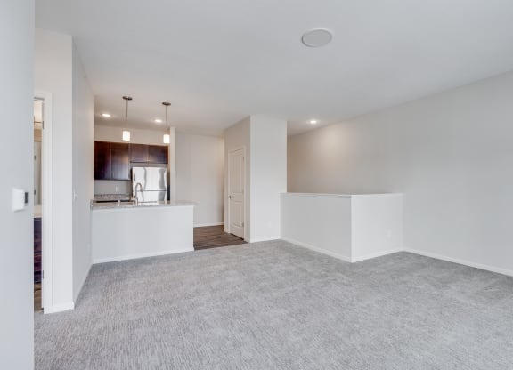 Open Concept Living Area & Kitchen