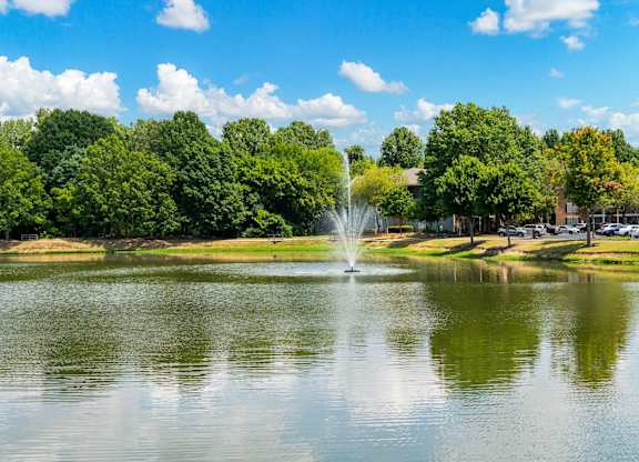 Community Pond