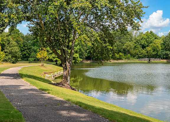 Community Pond