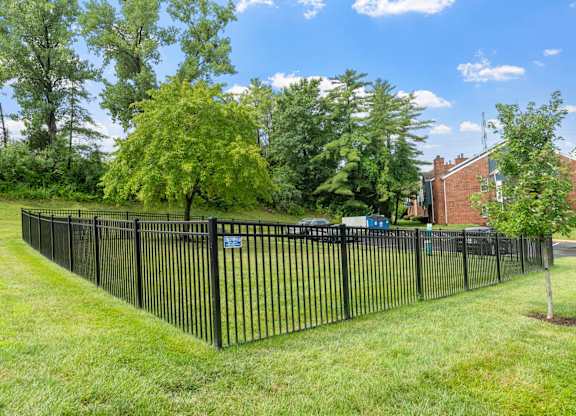 Dog Park