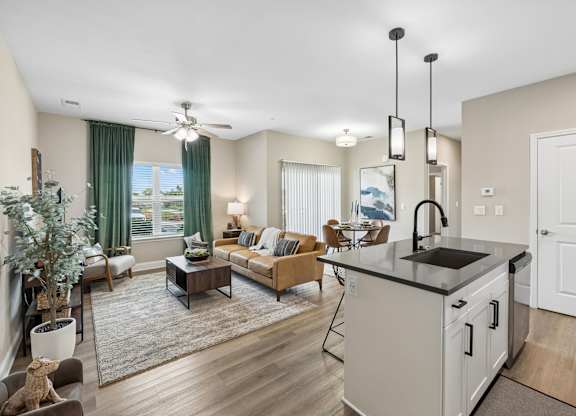 Spacious Living Area With Wood-Style Flooring