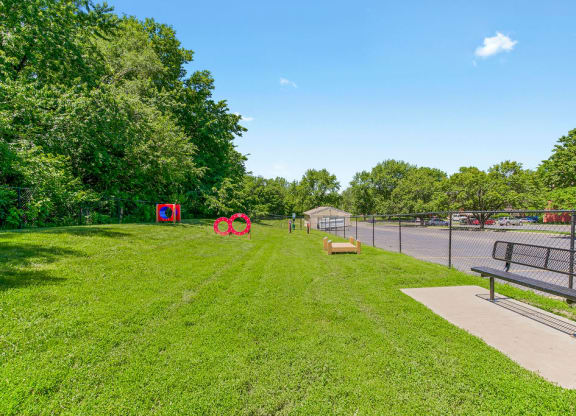 Large Dog Park With Obstacle Courses