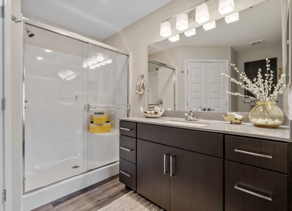 Bathroom with Modern Finishes