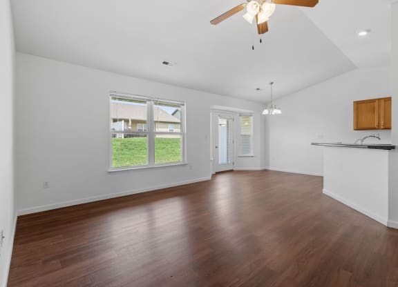 Spacious Living Area With Wood-Style Flooring