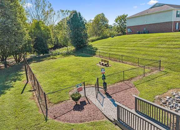 Aerial View of Dog Park