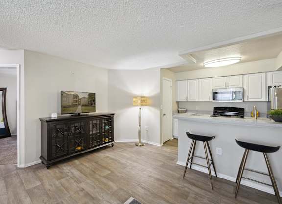 Spacious Living Area With Wood-Style Flooring