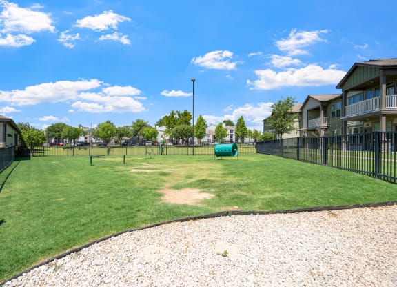 Dog Park