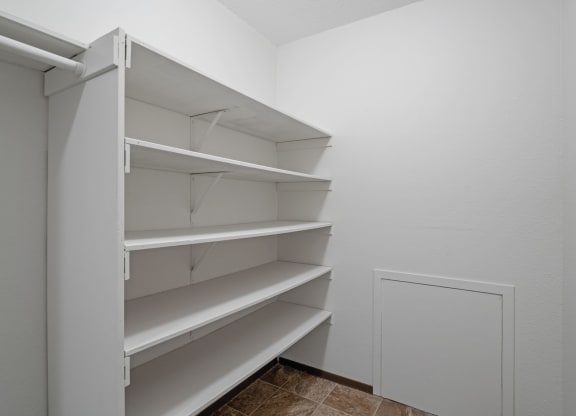 Spacious Closet with Built-In Shelving
