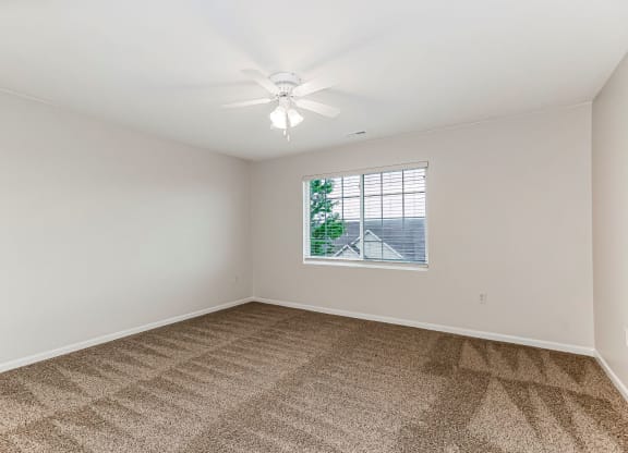 Bedroom with Plush Carpeting
