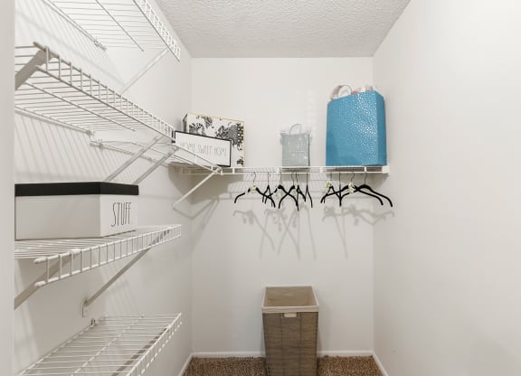Spacious Walk-In Closet