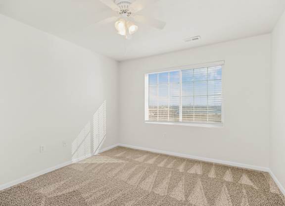 Bedroom with Plush Carpeting