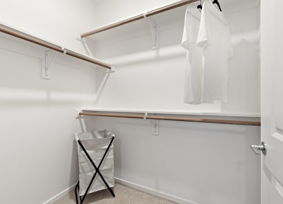 Walk-In Closet With Built-In Shelving
