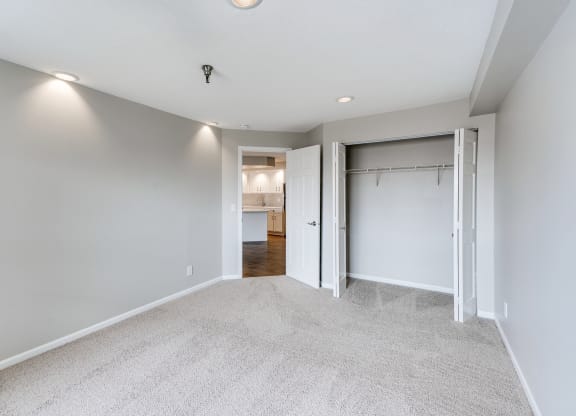 Large Bedroom with Closet and Plush Carpet