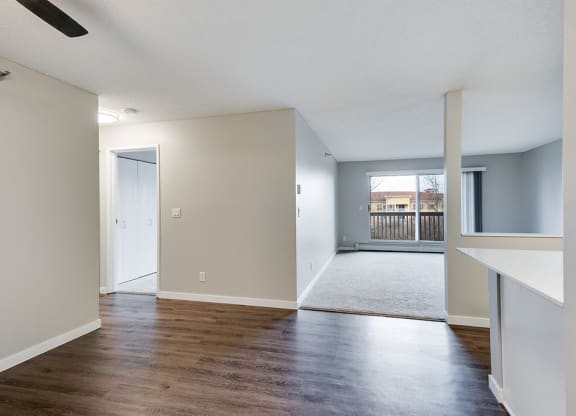 Grey Walls and Hardwood Style Flooring