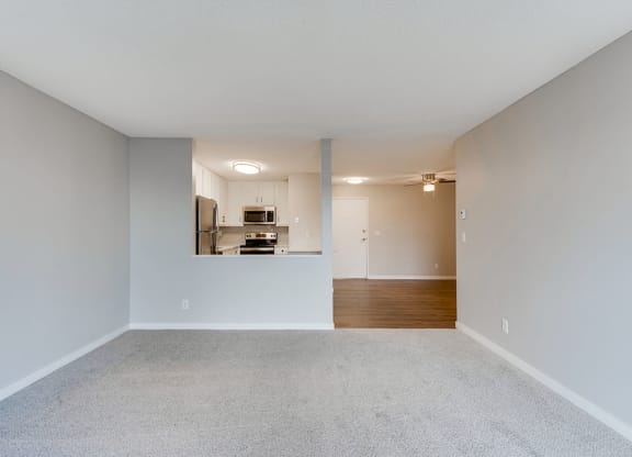Partial Wall Separating the Kitchen and Living Room