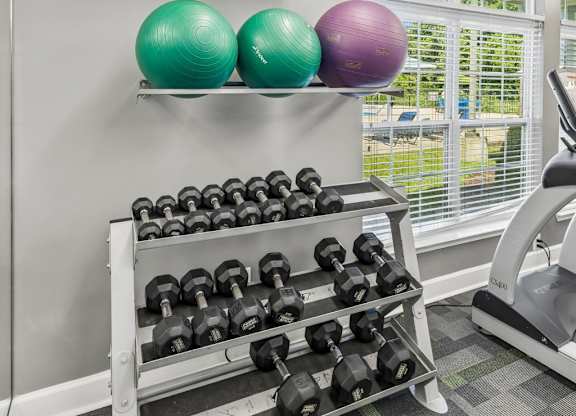 Gym with Dumbbell Equipment