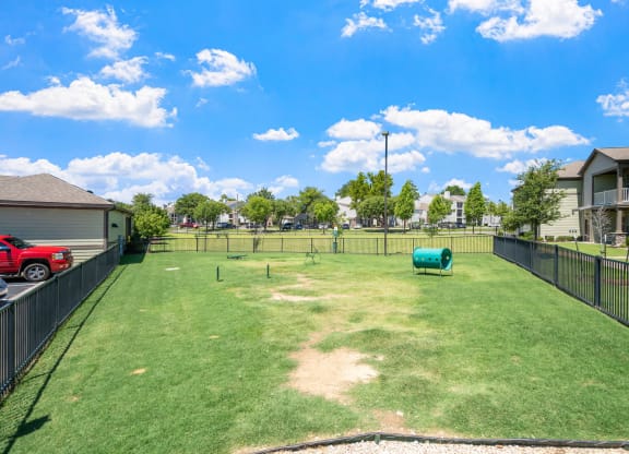 Dog Park