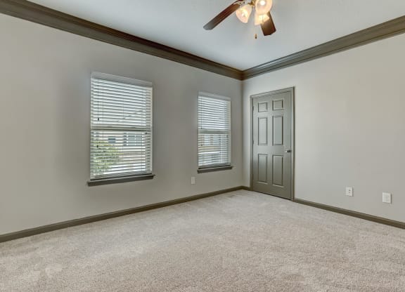 Carpeted Bedroom With Windows