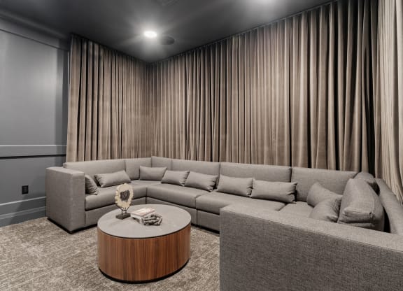 Private Theatre Room